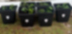 IMG_0975.jpeg