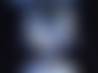 Wildstreet Live in NYC