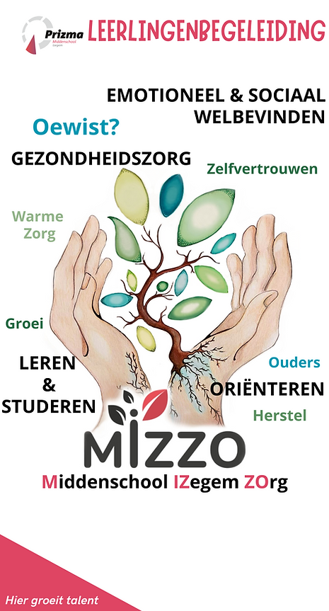 Banner MIZZO (97 x 180 cm).png