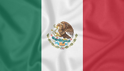 mexican flag.png