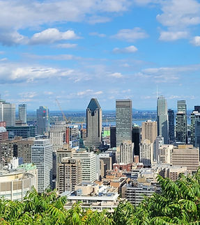 Mtl_from_mont_royal_(cropped).jpg