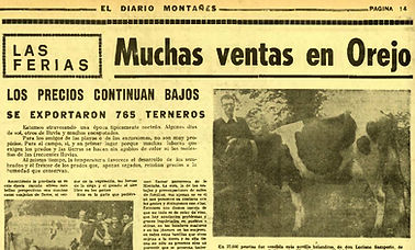 noticia 10.jpg