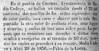 noticia 6.jpg