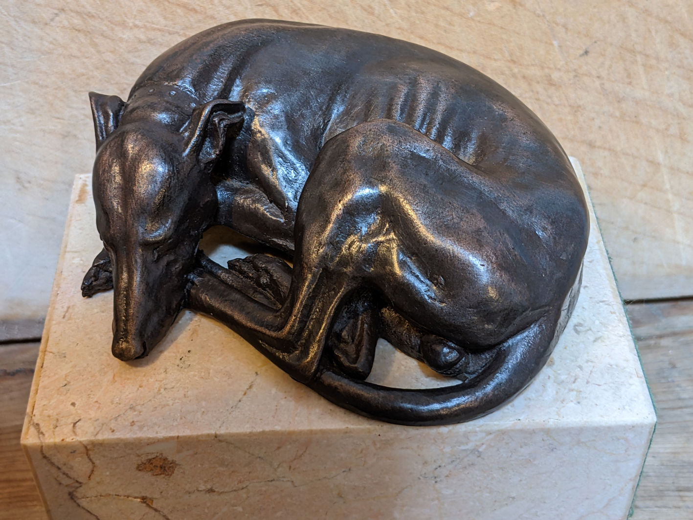 "Jet Asleep" greyhound