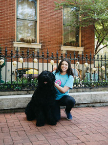 The Busy Professional’s Guide to Pet Care in Creve Coeur