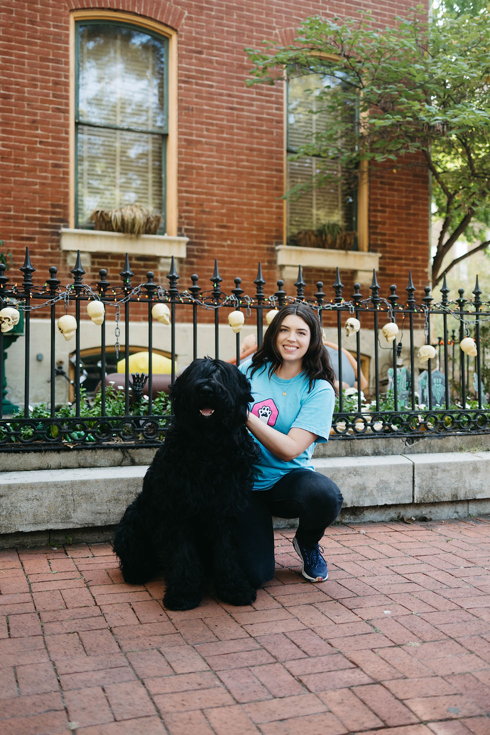 The Busy Professional’s Guide to Pet Care in Creve Coeur