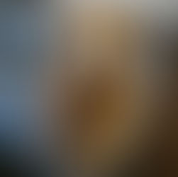 A golden retriever enjoy a pet sitting visit from the comfort of their own home.