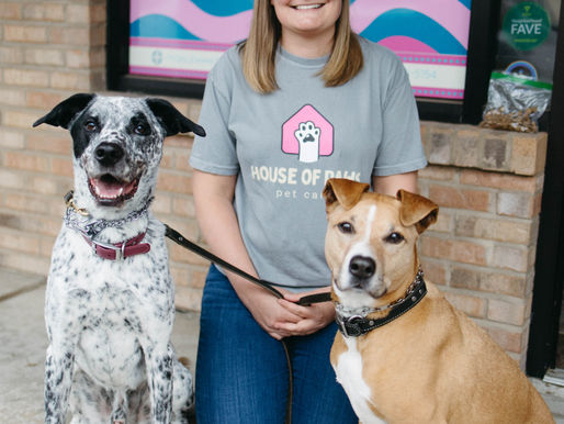 Back to School, Back to Routine: How Your Pets Adjust When You’re Away More