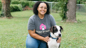 Fall Hazards Hiding in Your Backyard: A St. Louis Pet Parent's Guide