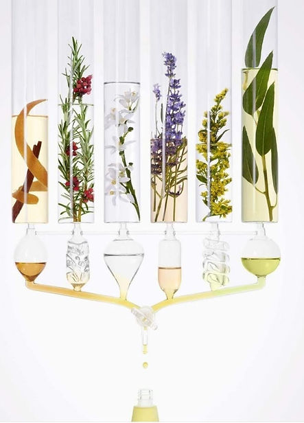 DISTILLAT BOTANIQUE