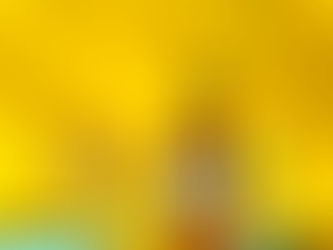 Sans alcool premium : les tendances 2025-2026 et la créativité signée NOLOW N°3