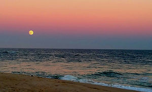 2016-11-14 00.21.59 (2).jpg