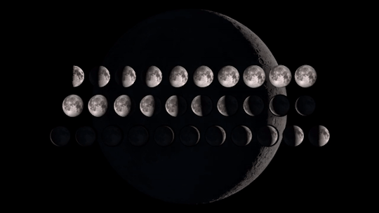face lunar.webp