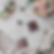 Thumbnail: Black Label - Barista Coffee Bags