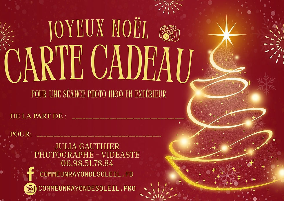 Carte cadeau shooting en extérieur 1H00 (noël)