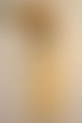 What Not To Feed Your Bird