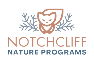 Notchcliff logo (transparent).png