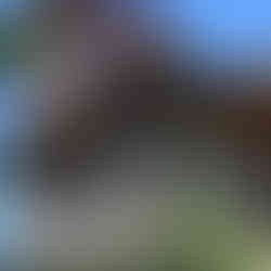 L'architecture de la ville d'Arcachon. Villa en pierre et bois.