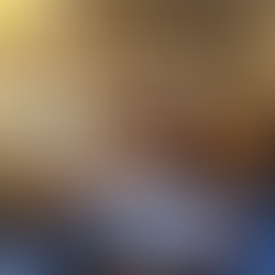 Faubourg Intérieurs, architecte d'interieurs. Show room Élitis.