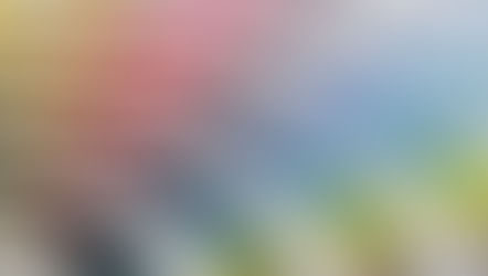 QUELLES COULEURS POUR 2026 ? 