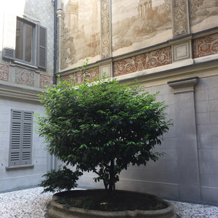Photos du salon de Milan par Faubourg Intérieurs, architecte d'intérieur à Bordeaux et Arcachon. 