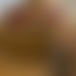 Faubourg Intérieurs, architecte d'interieurs. show room Manuel Canovas.