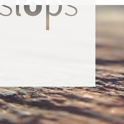 Slops_Logo_Detail_480X480.jpg