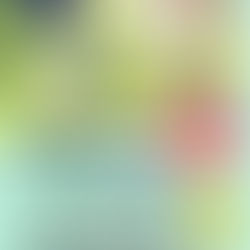 なないろキッズ2019　開催！