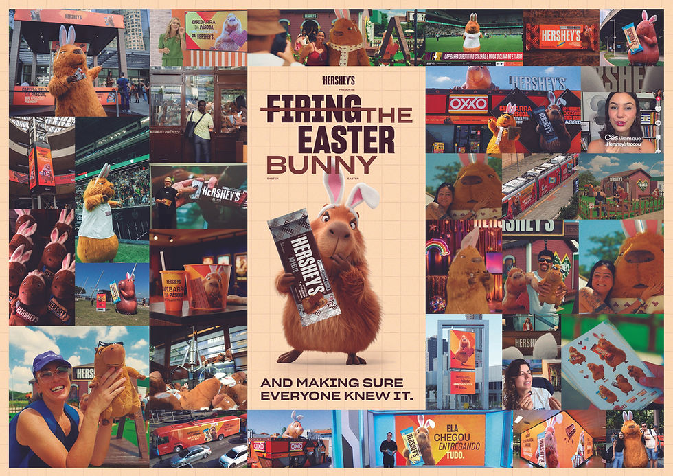 Material-de-apoio-Firing the Easter Bunny - 360.jpg