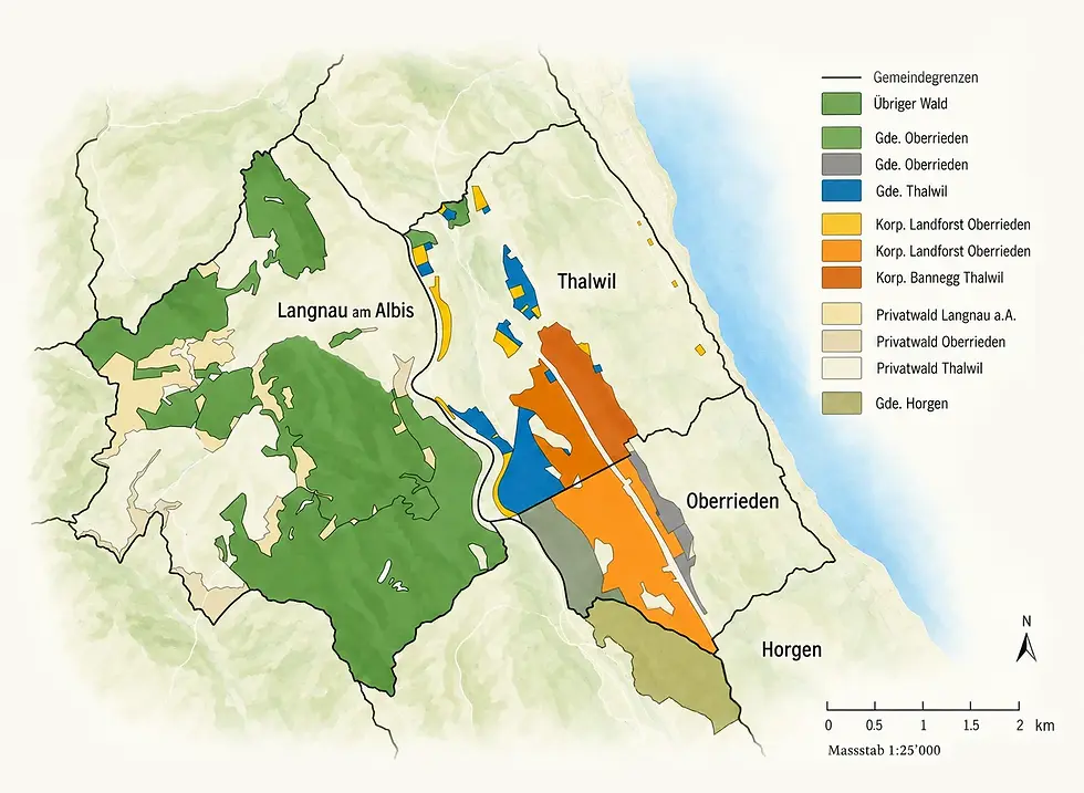 Grafik Forstrevier der Forstbetrieb Landforst GmbH