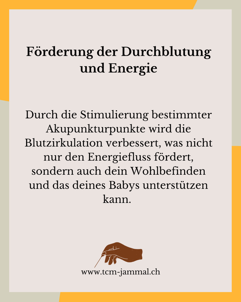 Schwangerschaft mithilfe der TCM
