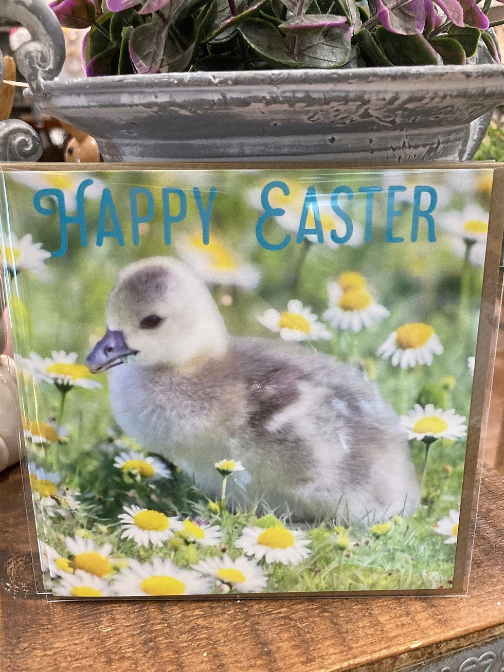 CL Photography - Easter Card