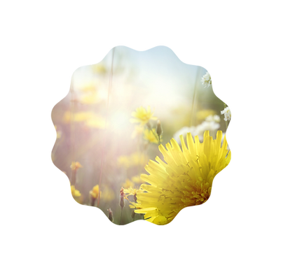 Raquel Branding  (8).png