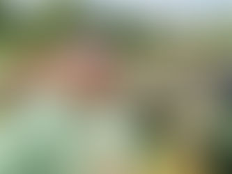 Empowering Detroit Through Charitable Giving: Your Role in Making a Lasting Impact