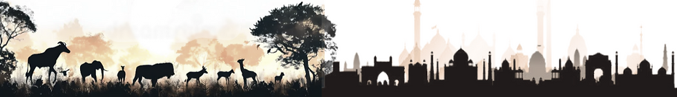 Frame 98 (2)_edited.png