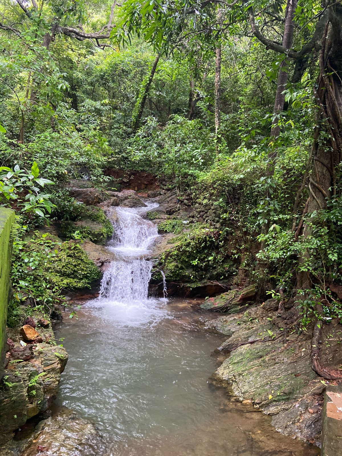 WhatsApp Image 2025-01-03 at 17.42.13_deb3b096.jpg