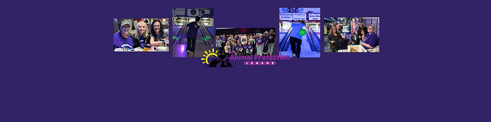 Bowl Registration Banner 5 (1).png