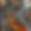 Thumbnail: Side Rocker - Non Ducor, Duco