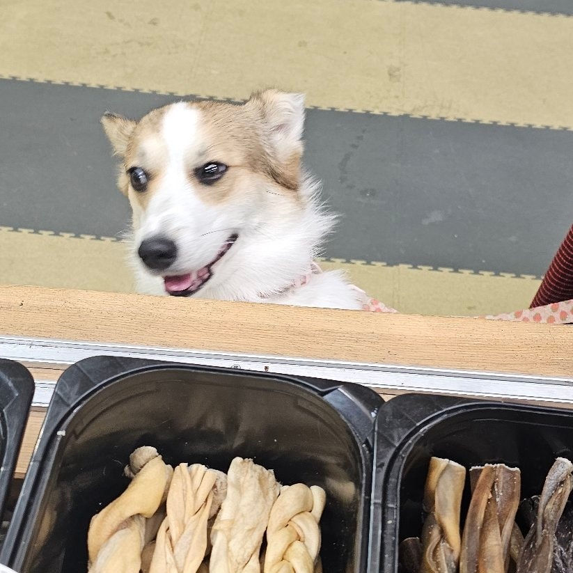 538242288_122211301118266205_3293070528168857871_n