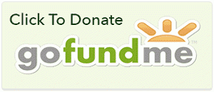 logo_GoFundMe-300pixels-300x129.gif