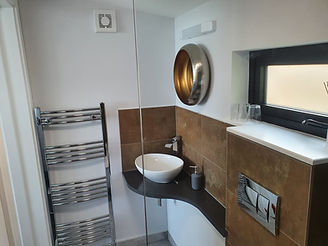 Wild Room Full Bathroom.jpeg