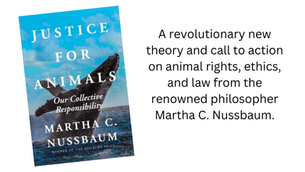 Justice for Animals: Our Collective Responsibility