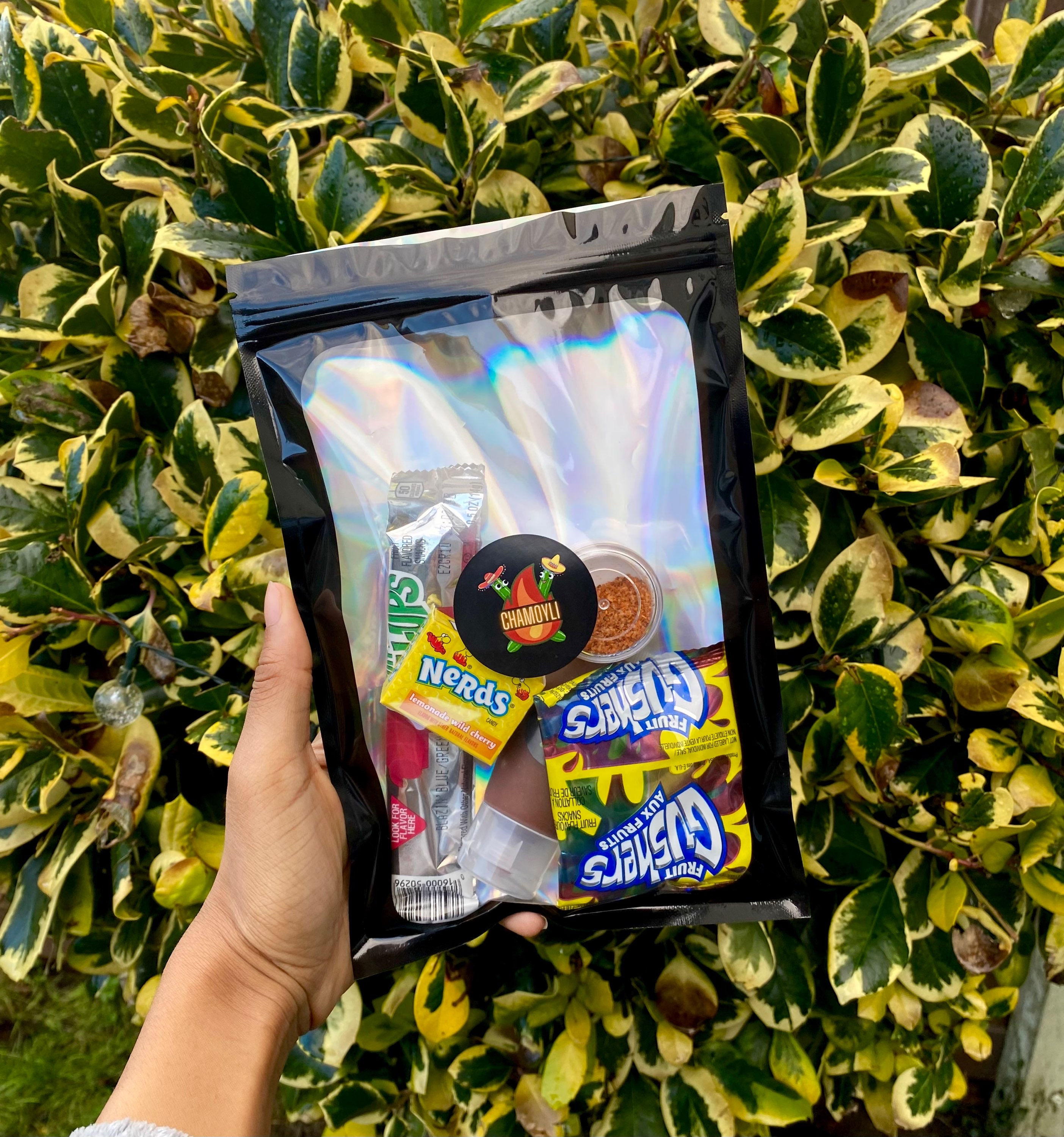 Chamoy fruit roll up kit