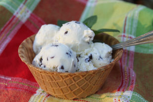 Vanilla Ice Cream and 3 Variations