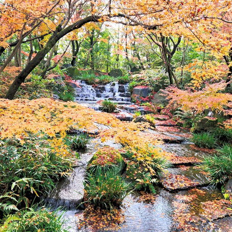 中間発表会 2023