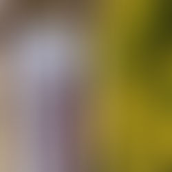 卒研発表会 2022