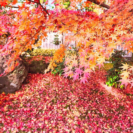 中間発表会 2022