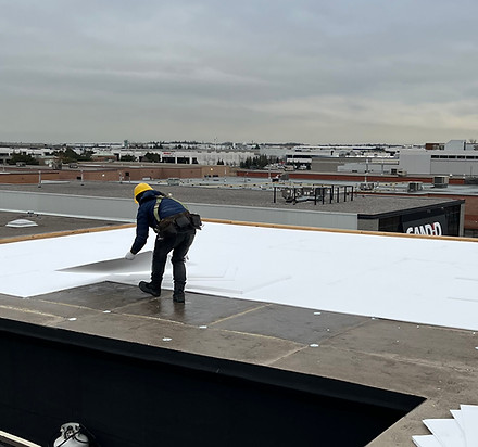 new shingle installed by Jin Tai Roofing Contractor