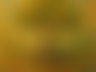 Insights for Food Business Owners: Adapting from Authenticity