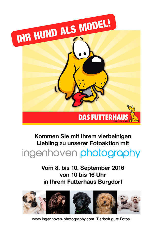 Kooperation mit Das Futteraus